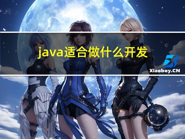 java适合做什么开发的相关图片