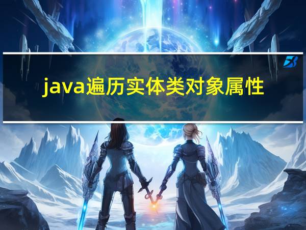 java遍历实体类对象属性的相关图片