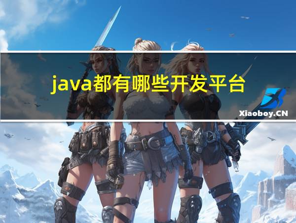 java都有哪些开发平台的相关图片