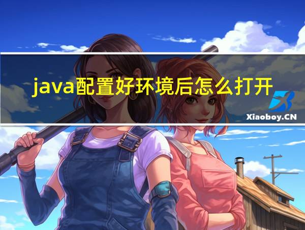 java配置好环境后怎么打开软件的相关图片