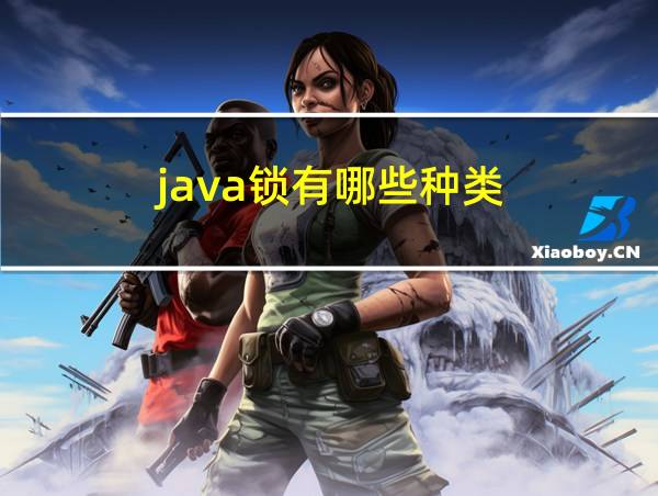 java锁有哪些种类的相关图片