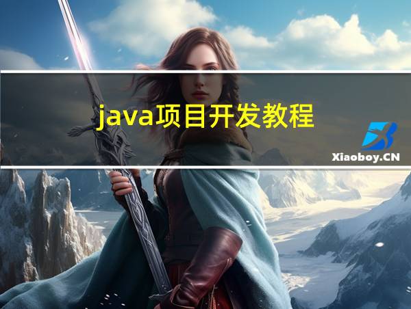 java项目开发教程的相关图片