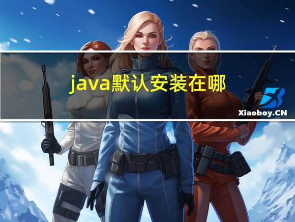 java默认安装在哪的相关图片