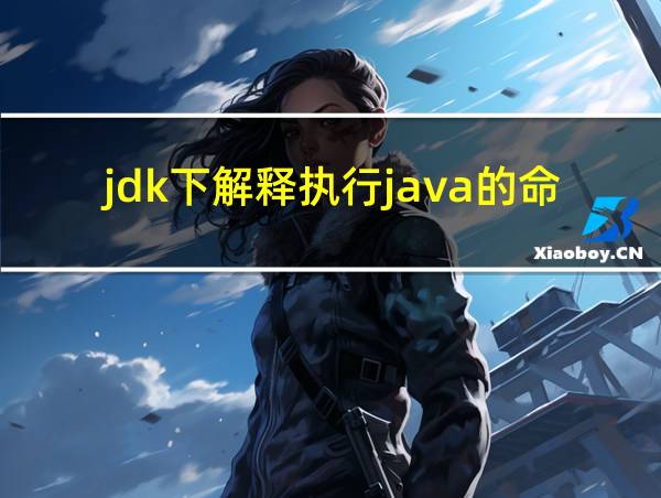 jdk下解释执行java的命令是什么的相关图片