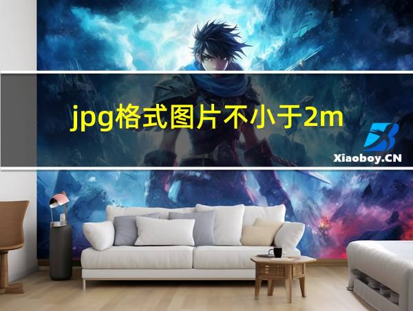 jpg格式图片不小于2m的相关图片