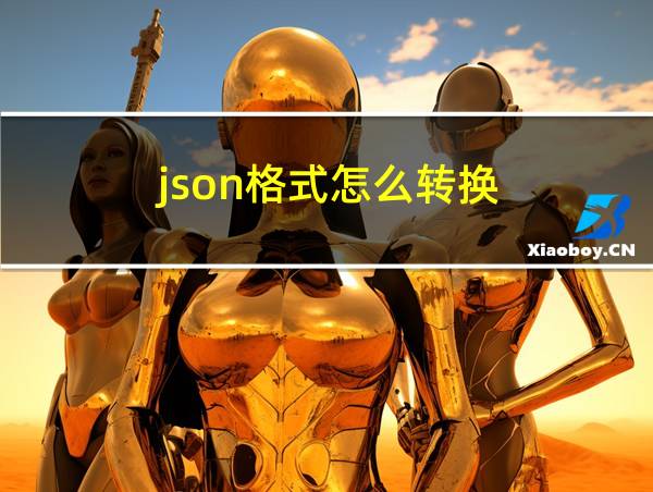 json格式怎么转换的相关图片