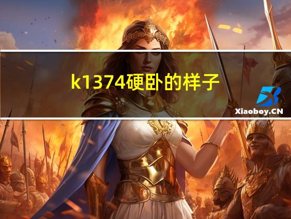 k1374硬卧的样子的相关图片