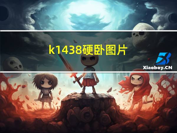 k1438硬卧图片的相关图片