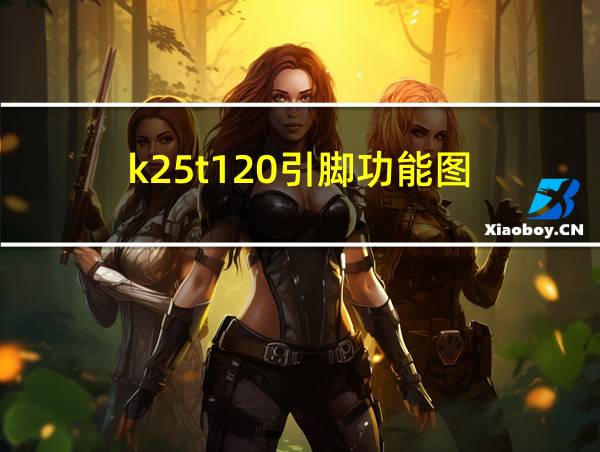 k25t120引脚功能图的相关图片