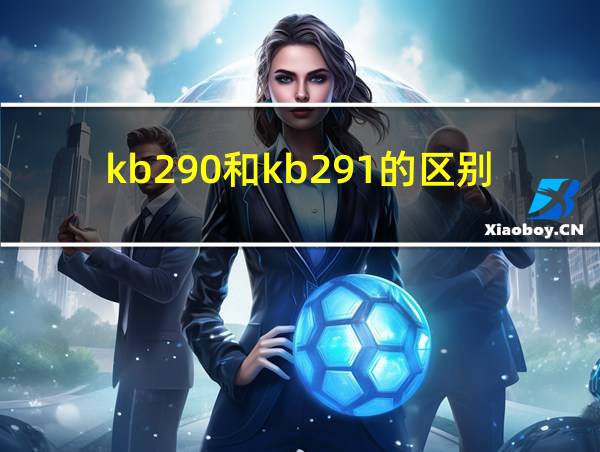 kb290和kb291的区别的相关图片