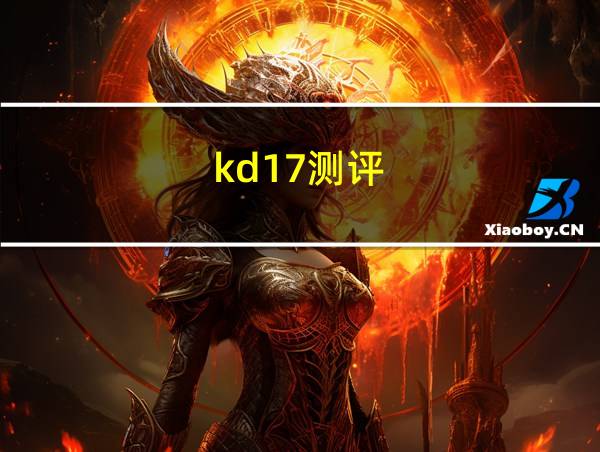 kd17测评的相关图片