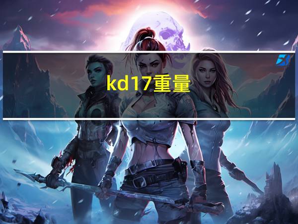 kd17重量的相关图片