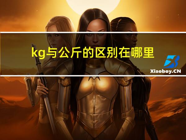 kg与公斤的区别在哪里的相关图片