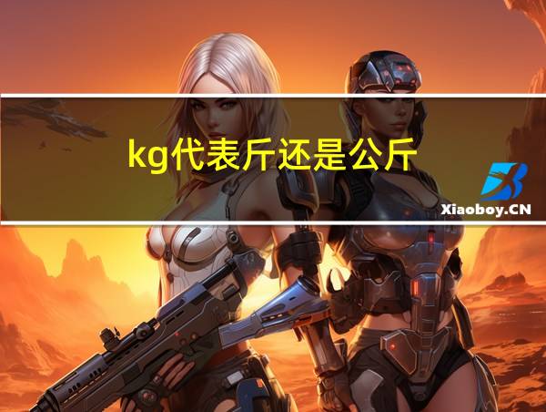 kg代表斤还是公斤的相关图片