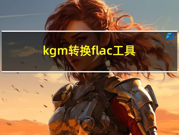 kgm转换flac工具的相关图片