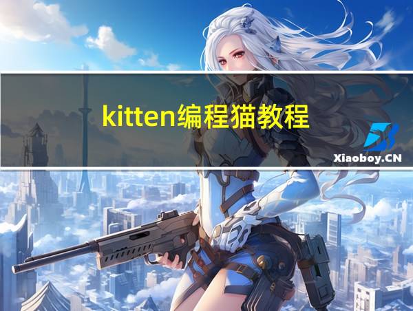 kitten编程猫教程的相关图片