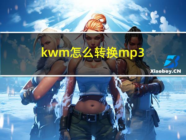 kwm怎么转换mp3的相关图片