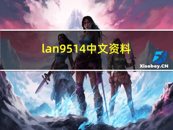 lan9514中文资料的相关图片