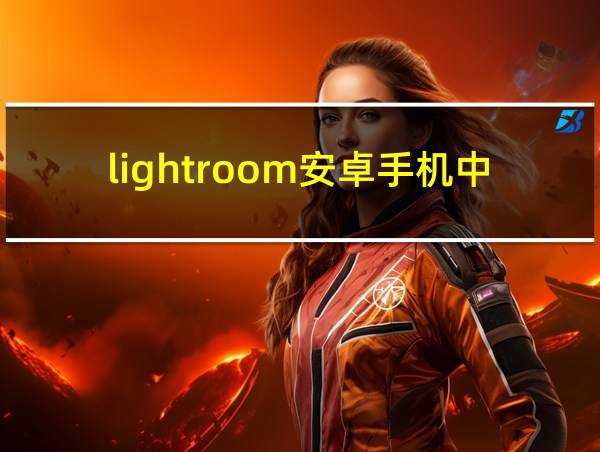 lightroom安卓手机中文版破解版的相关图片