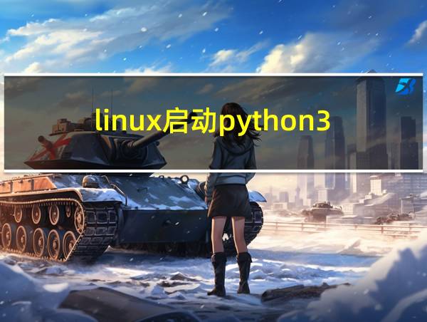 linux启动python3项目的相关图片