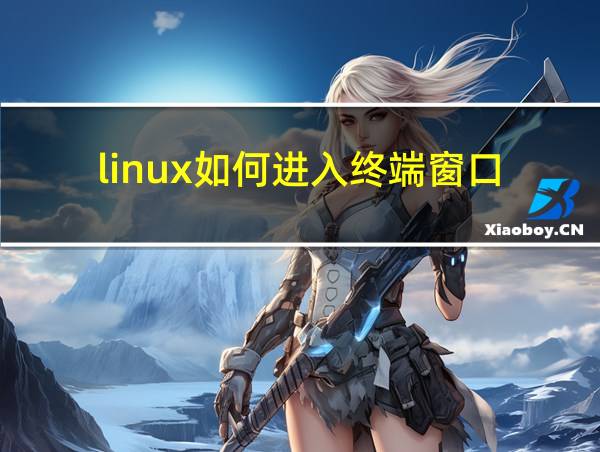 linux如何进入终端窗口的相关图片