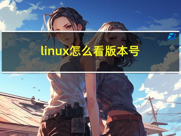 linux怎么看版本号的相关图片