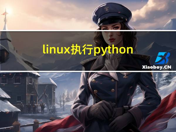 linux执行python.py文件的相关图片