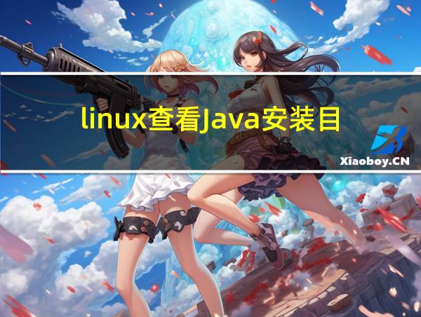 linux查看Java安装目录的相关图片