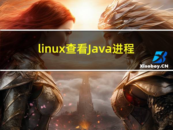 linux查看Java进程的相关图片