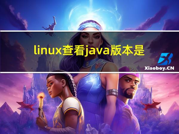 linux查看java版本是openjdk的相关图片