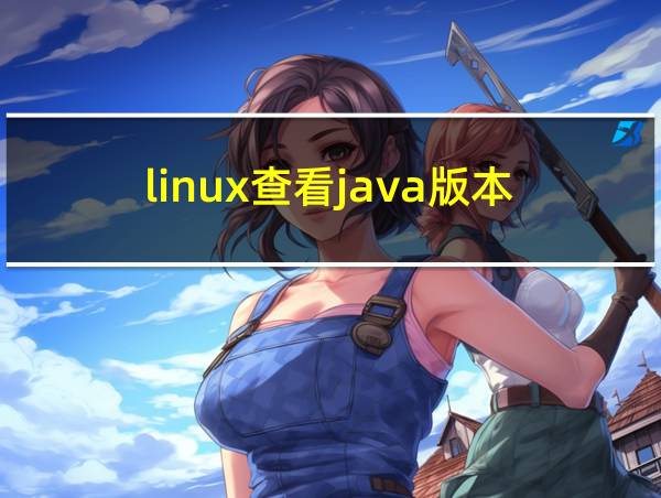 linux查看java版本的相关图片