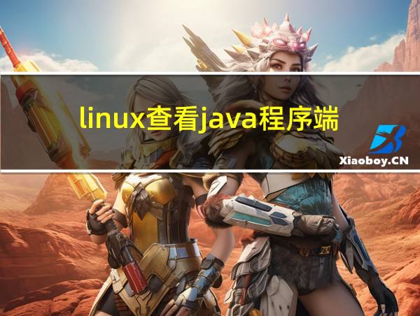 linux查看java程序端口占用的相关图片