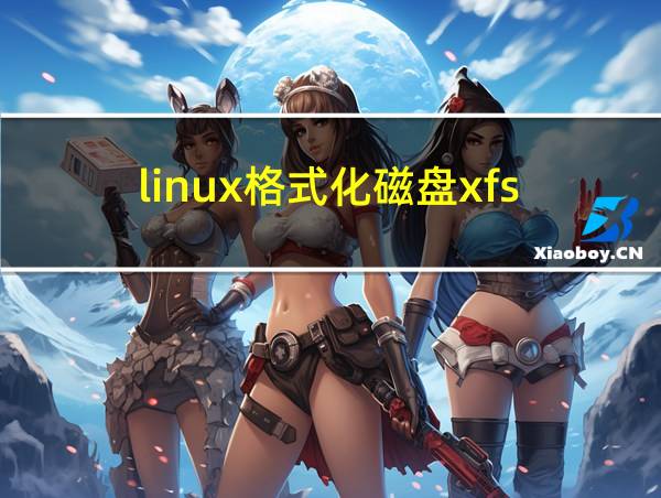 linux格式化磁盘xfs的相关图片