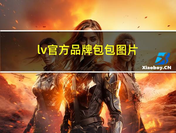 lv官方品牌包包图片的相关图片