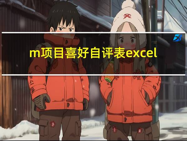 m项目喜好自评表excel的相关图片