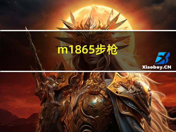 m1865步枪的相关图片