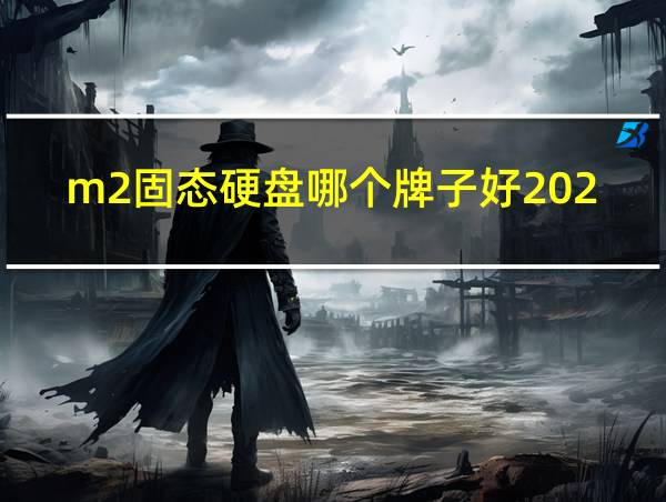 m2固态硬盘哪个牌子好2023的相关图片