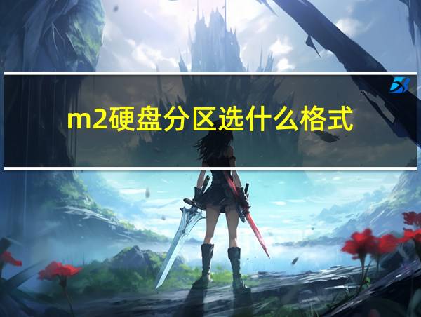 m2硬盘分区选什么格式的相关图片