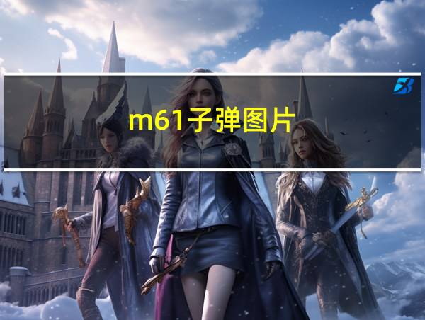 m61子弹图片的相关图片