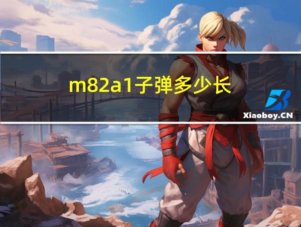 m82a1子弹多少长的相关图片