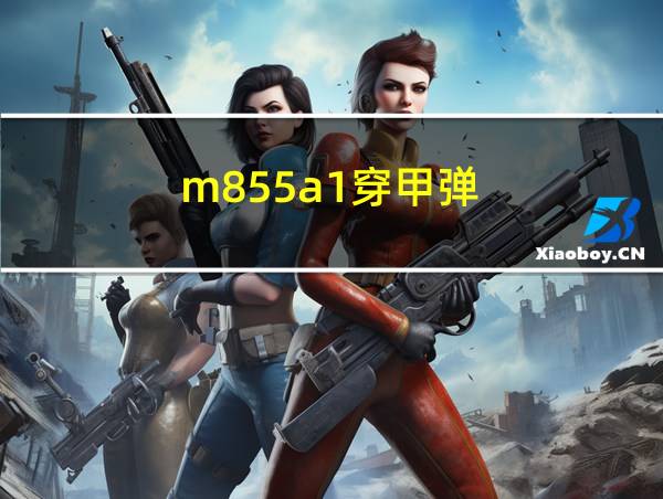 m855a1穿甲弹的相关图片