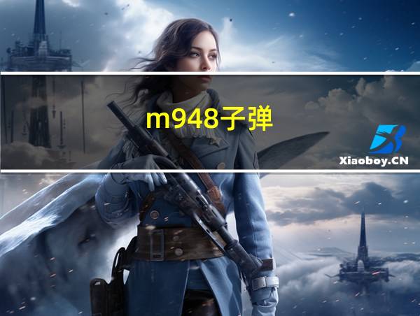 m948子弹的相关图片