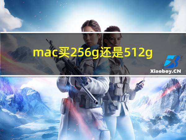 mac买256g还是512g好的相关图片