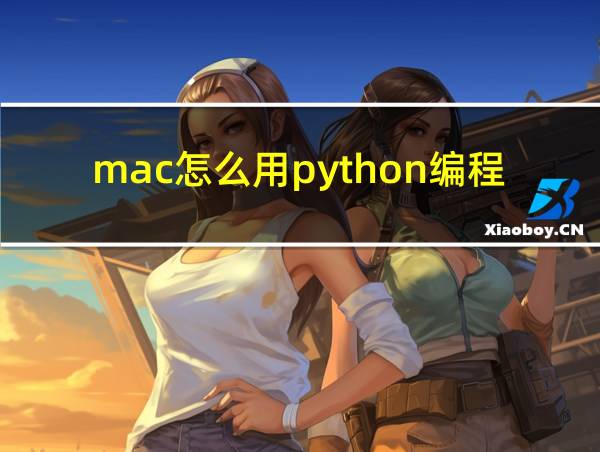 mac怎么用python编程的相关图片