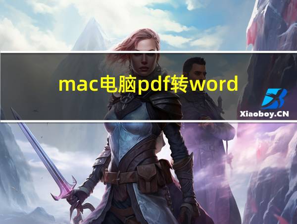 mac电脑pdf转word的相关图片