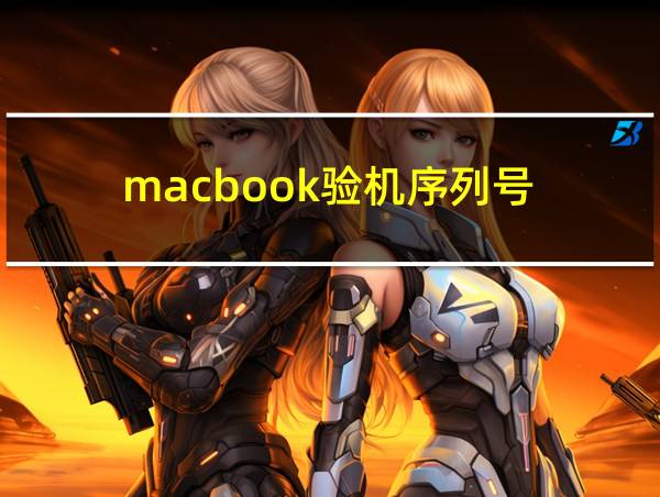 macbook验机序列号的相关图片