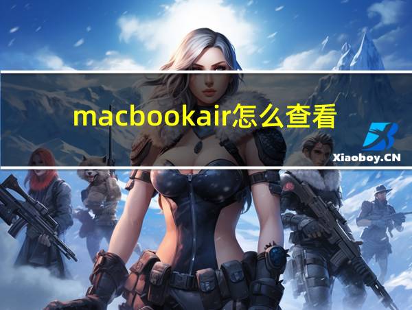 macbookair怎么查看尺寸的相关图片