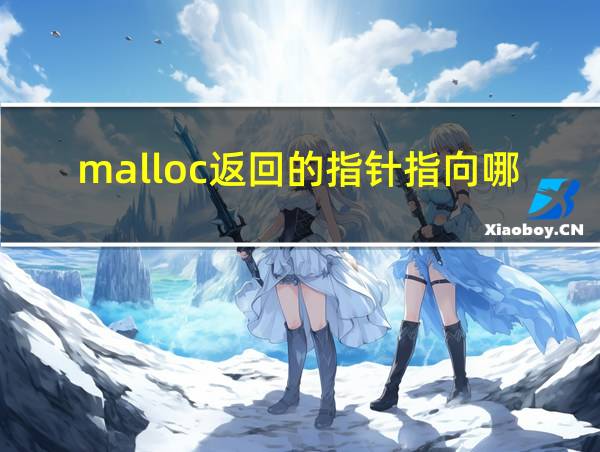 malloc返回的指针指向哪里的相关图片