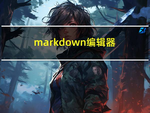 markdown编辑器的相关图片