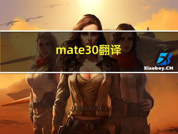 mate30翻译的相关图片